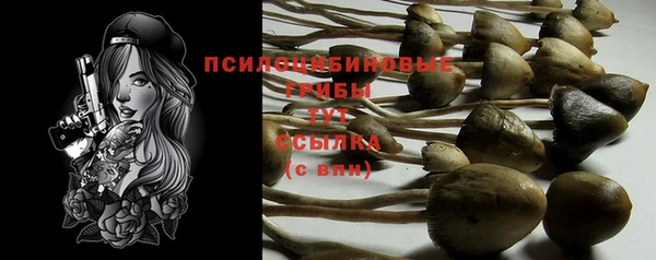 Альфа ПВП Осташков