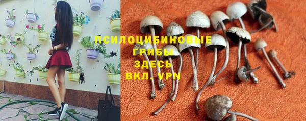 2c-b Нягань