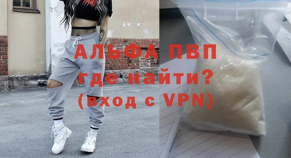 Альфа ПВП Няндома