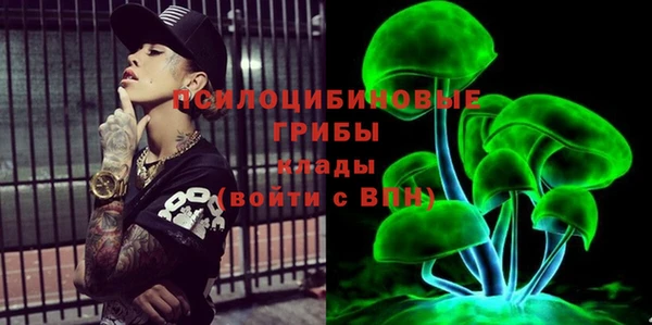 Альфа ПВП Няндома