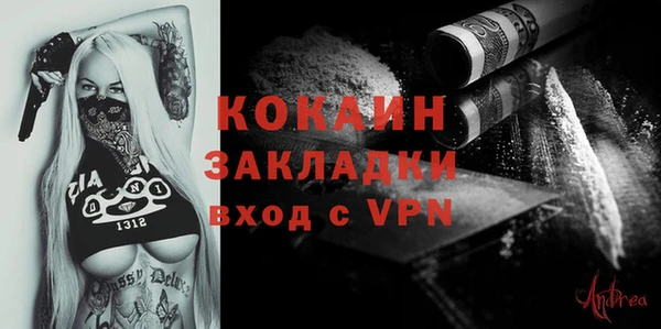 Альфа ПВП Няндома